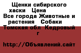 Щенки сибирского хаски › Цена ­ 12 000 - Все города Животные и растения » Собаки   . Томская обл.,Кедровый г.